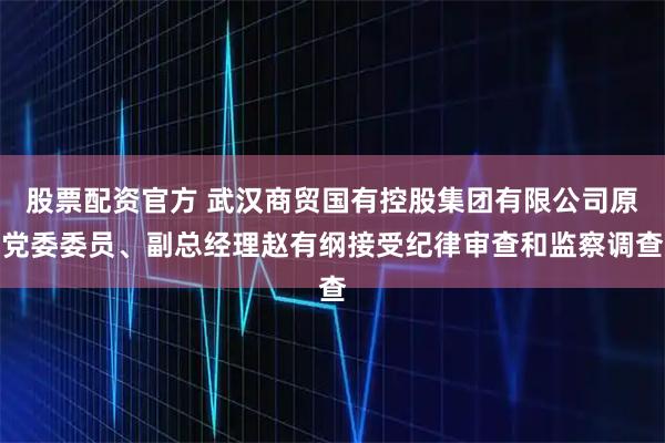 股票配资官方 武汉商贸国有控股集团有限公司原党委委员、副总经理赵有纲接受纪律审查和监察调查